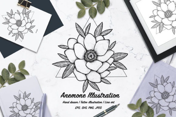Anemone Flower Illustration. Tattoo
