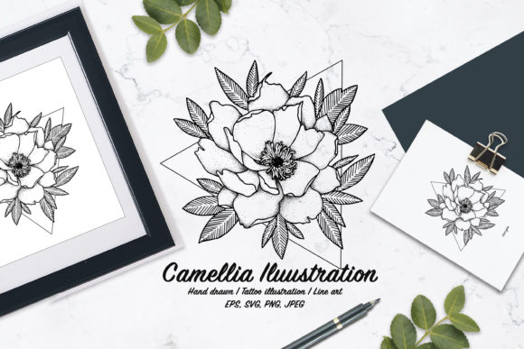 Camellia Illustration: A Doodle-Style Design for Real Projects