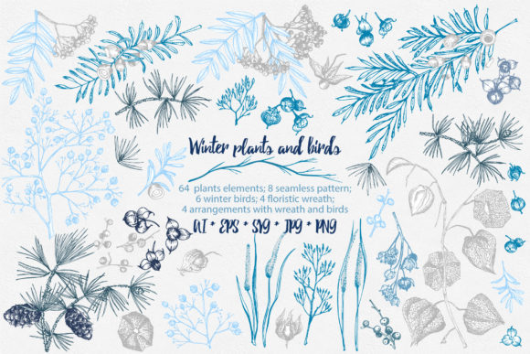 Hand Drawn Winter Plants and Birds: A Design Review for Real Projects