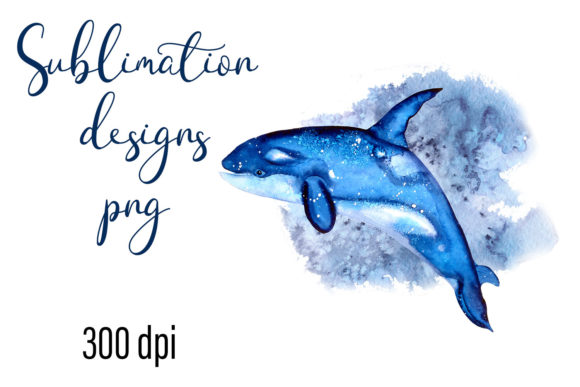 Killer Whale Watercolor Sublimation Design Review